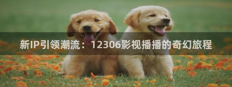 午夜黄色精品电影