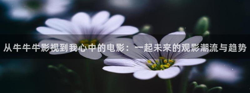 蜜桃影视午夜