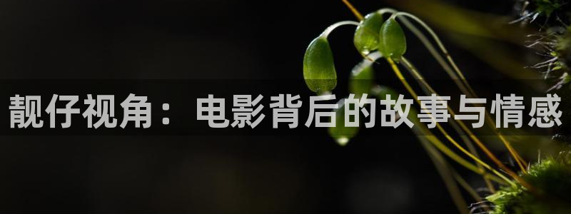 午夜国产一级??片