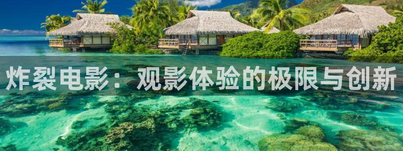 午夜小毛片