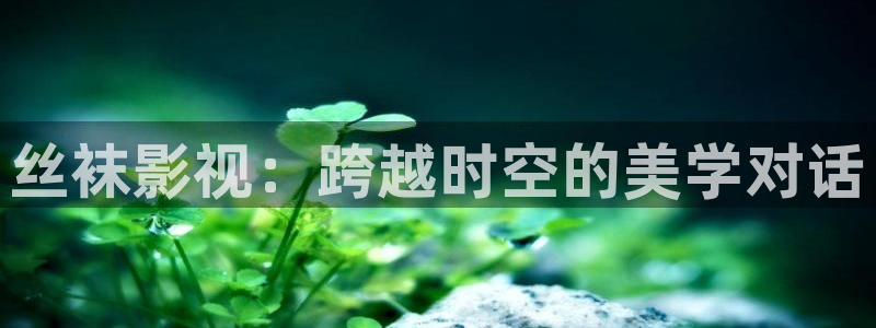欧美午夜精品电影