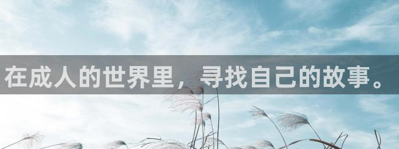 国产午夜电影在线