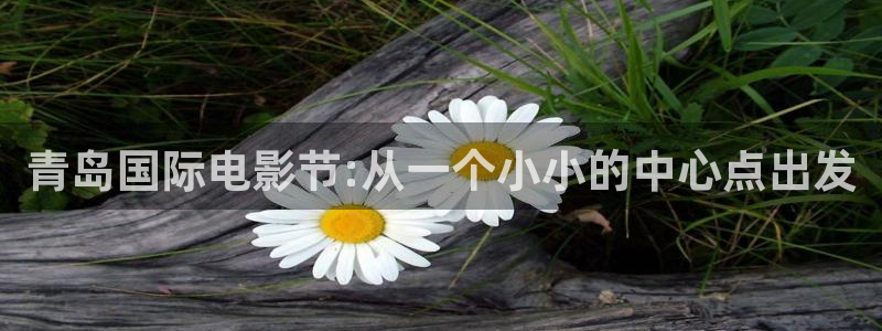 看看屋电影午夜