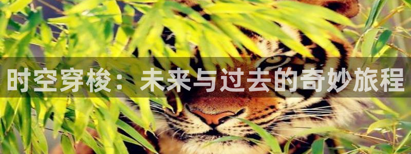 午夜伦理一yy4480影院