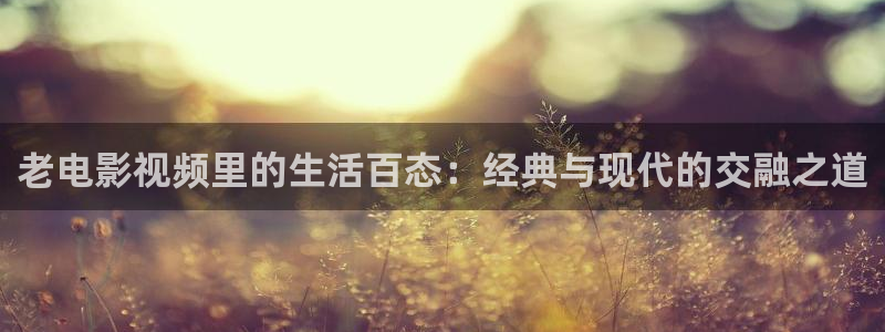 国产av午夜多多