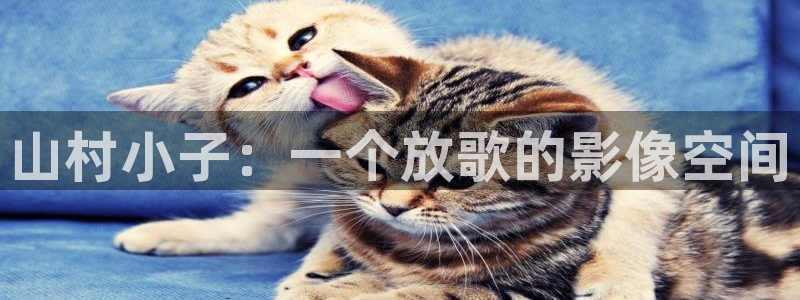 男子午夜影院