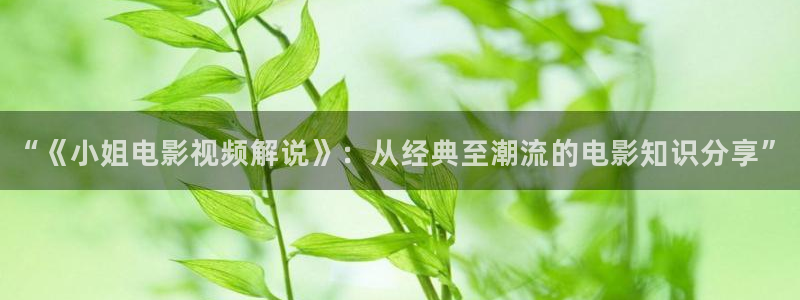 秋霞网午夜