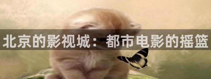 爱在午夜降临前在线观看完整版
