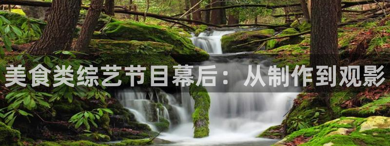 午夜毛片大全