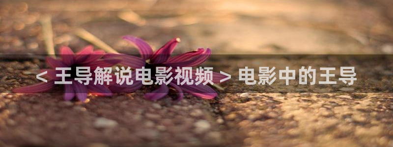福利午夜在线观看