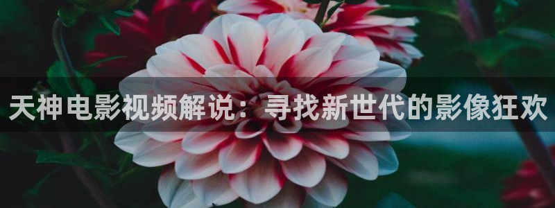 日本人体艺术午夜影院