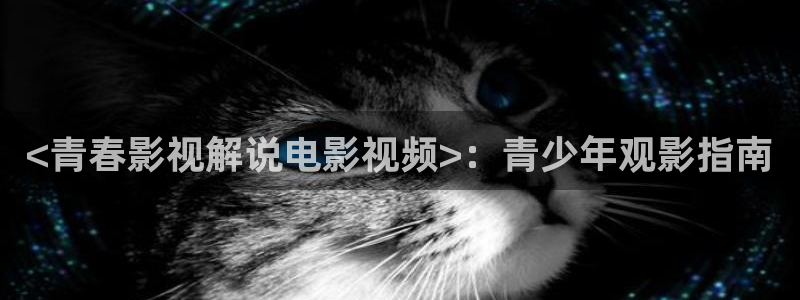 啪啪啪午夜影院