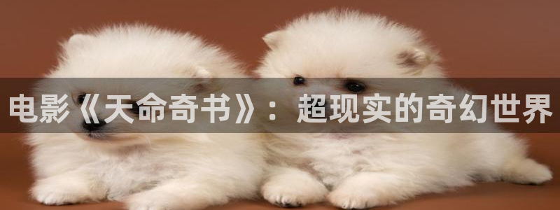 youjizz.com午夜在线观看