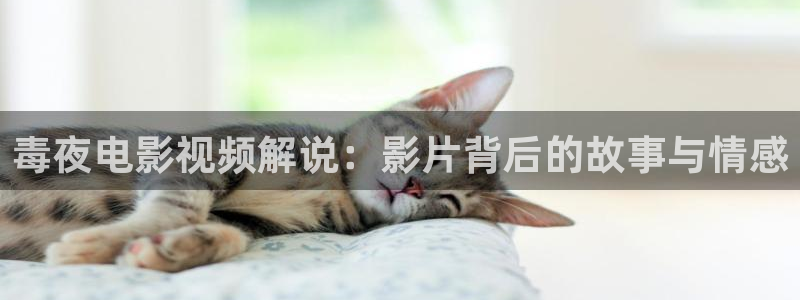 国产在线观看午夜小视频