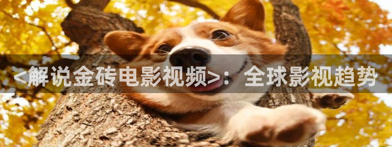 午夜性感美女电影