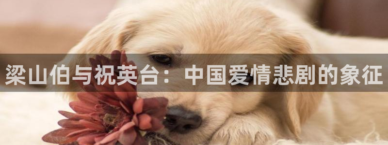 久久午夜影院免费