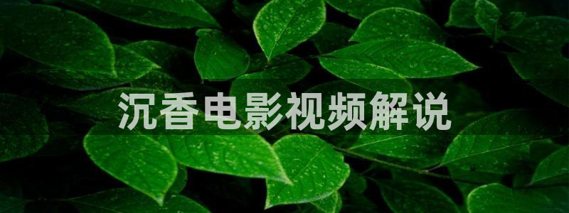 桔子影院午夜场