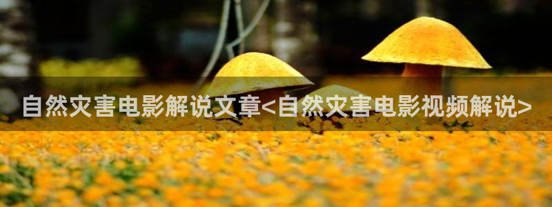 久久成人午夜电影