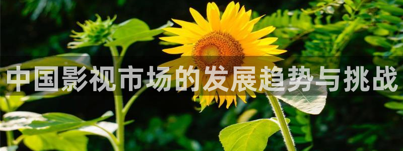 精品午夜伦理
