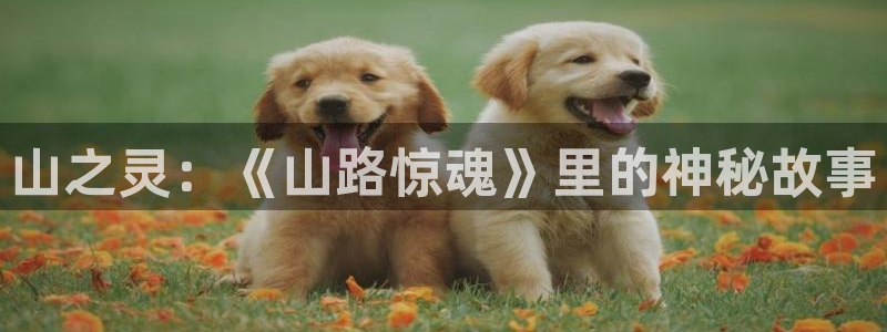 yy4480午夜福利