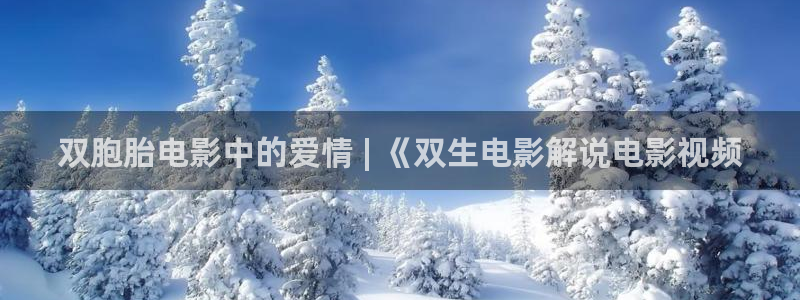 全部视频在线观看午夜