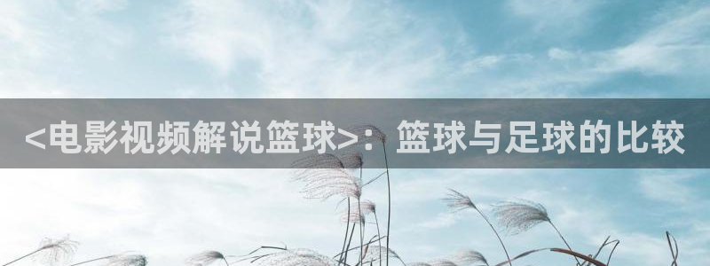 116午夜电影