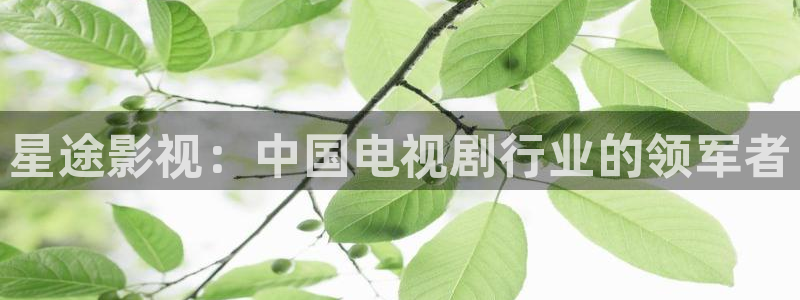 国产午夜理论不卡在线观看