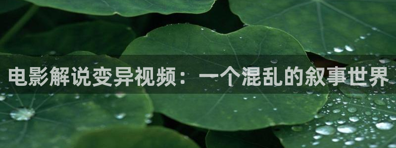 新闻图片