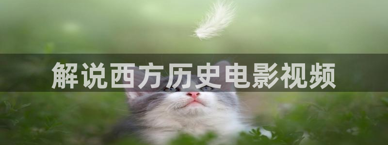 午夜电影免费体验区