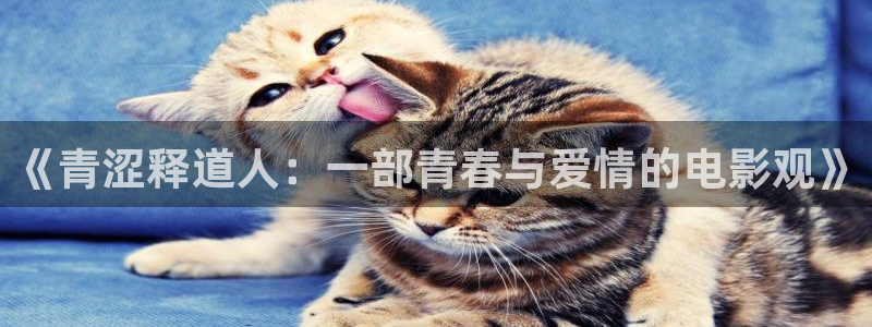 午夜神马福利影视