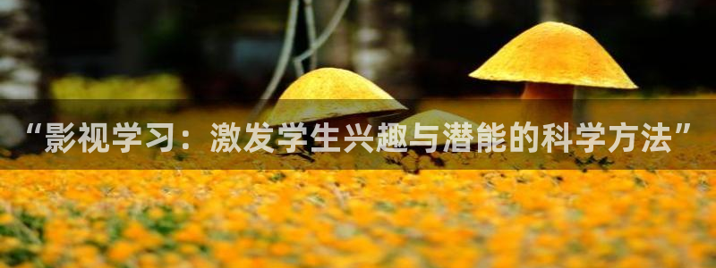 午夜大片子网站